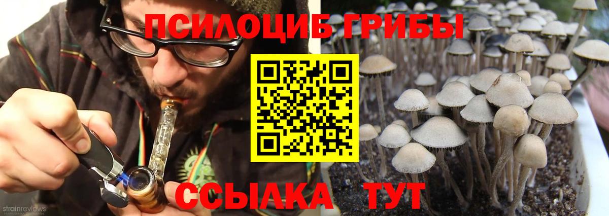 Псилоцибиновые грибы MAGIC MUSHROOMS  Вход с VPN  Рославль 