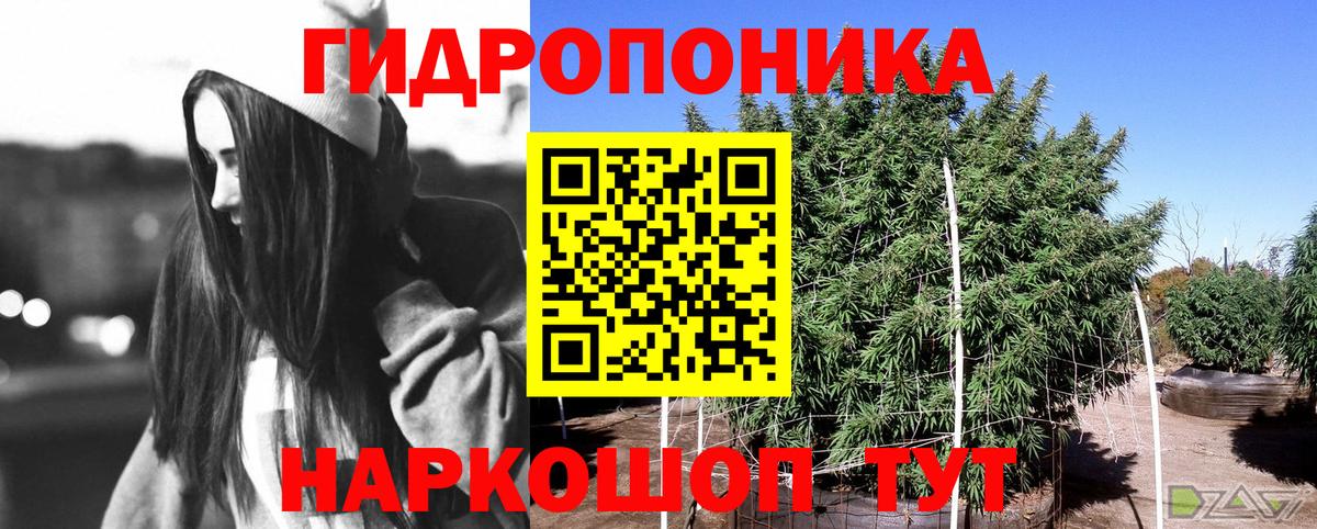 Каннабис тримм Рославль